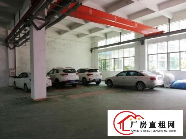  清溪三中新出标准一楼厂房实际面积800方可办环评带装修