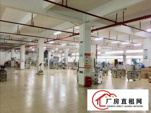  清溪镇土桥新出楼上（原房东豪华装修）1500平无公摊厂房出租