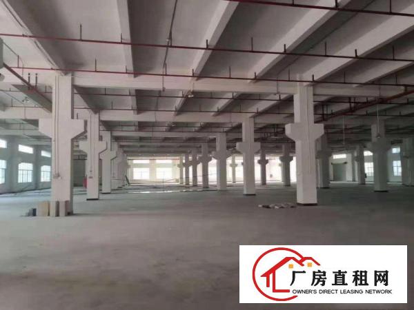  三中新出原房东独院厂房29300平方出租
