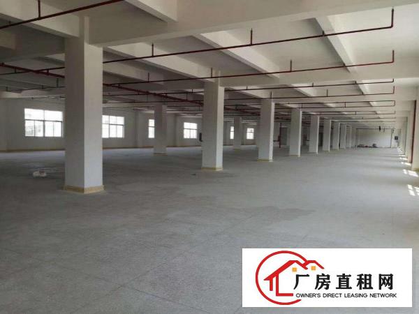  全新厂房，新建独门独院6000平出租