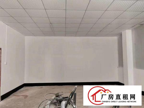  清溪原房东精装厂房出租