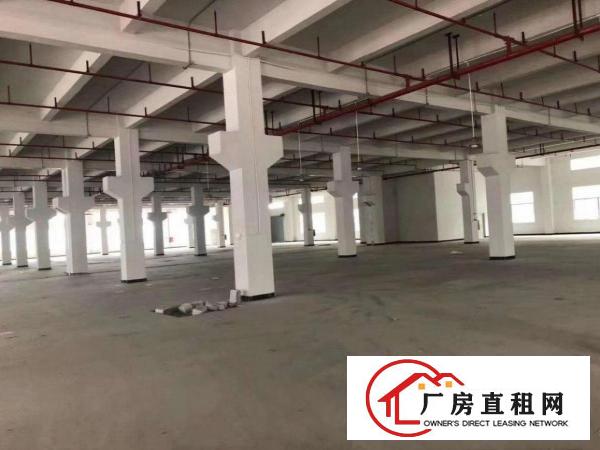  原房东实积面积出租，大小可分租，