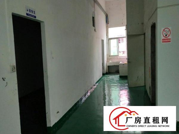  清溪镇原房东标准厂房出租