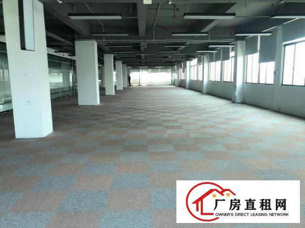  清溪靓的厂房不信你来看