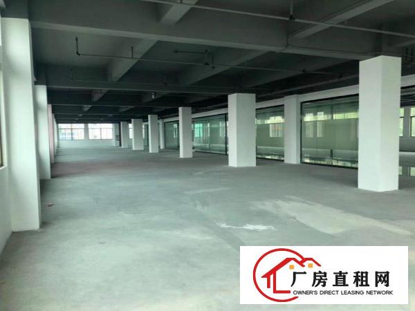  清溪靓的厂房不信你来看