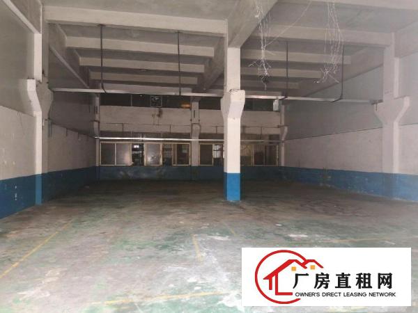  三中村新出一楼260平带装修办公室水电齐全