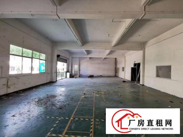  清溪三中村新出楼上418平精装修（可做电池）