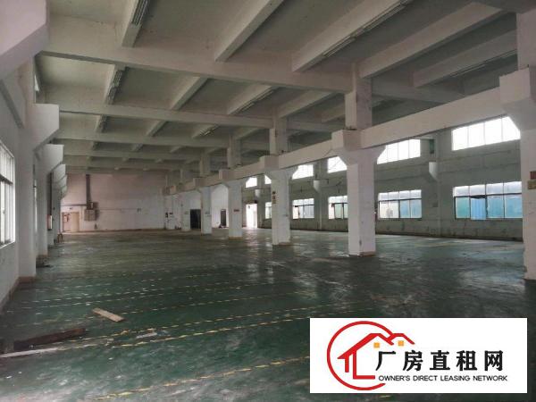  三中村成熟工业区村委厂房一楼1300平带牛脚办公室