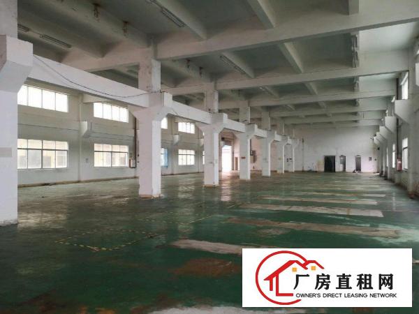  三中村成熟工业区村委厂房一楼1300平带牛脚办公室