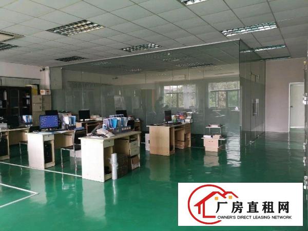  三中村成熟工业区村委厂房一楼1300平带牛脚办公室