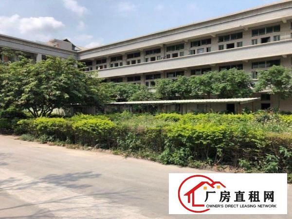  清溪原房东厂房出租，可分租