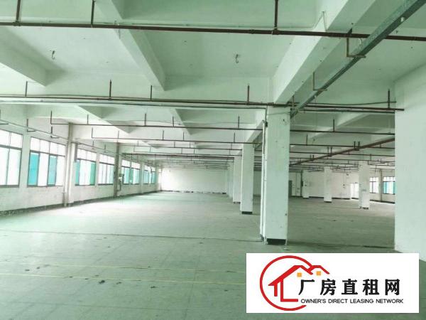  清溪原房东厂房出租，可分租