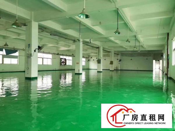  清溪原房东厂无公摊，出租