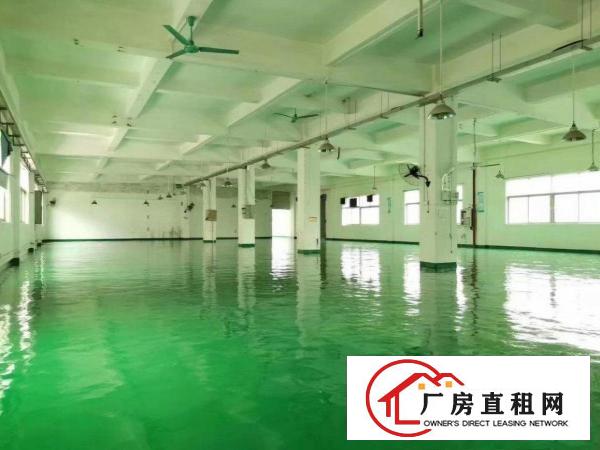  清溪原房东厂无公摊，出租
