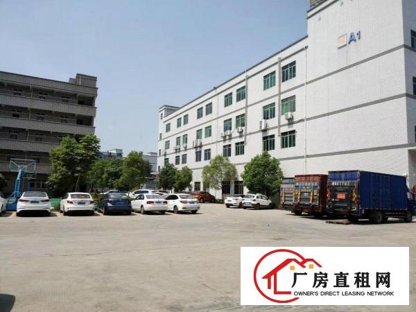  精装修三楼实际面积出租，带消防喷淋，价格便宜，图片真实！