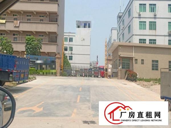  精装修三楼实际面积出租，带消防喷淋，价格便宜，图片真实！
