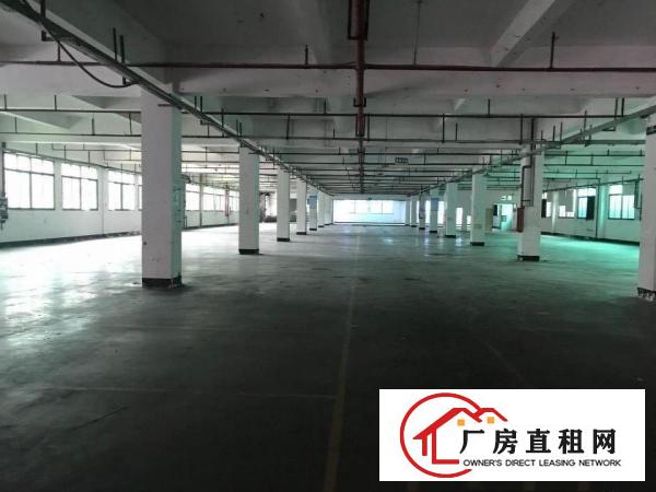  原房东独栋1-2层实际面积出租，带消防喷淋，价格便宜。