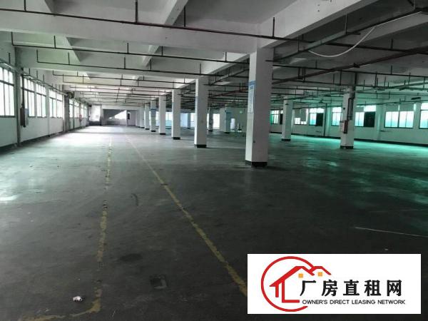  原房东独栋1-2层实际面积出租，带消防喷淋，价格便宜。