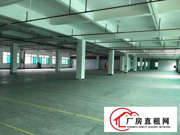  原房东独栋1-2层实际面积出租，带消防喷淋，价格便宜。