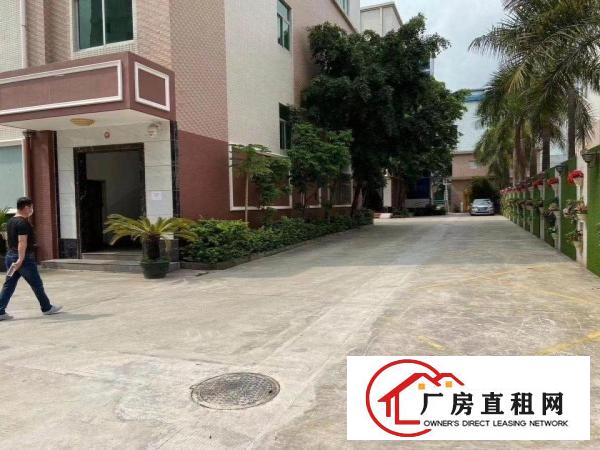  原房东一楼实际面积出租，现成装修，层高5.5米。水电齐全
