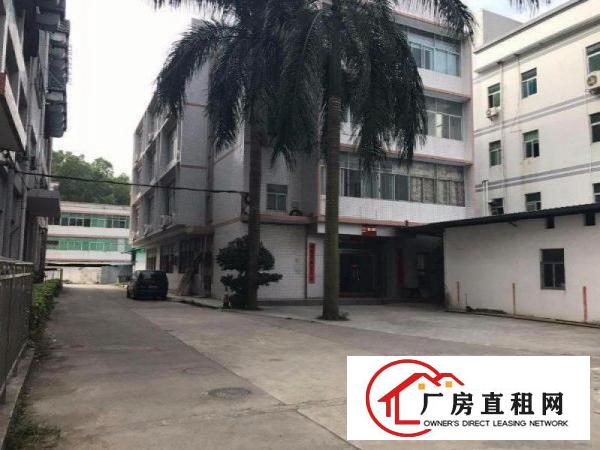  好地段 好装修：清溪镇500平方米花园式2楼标准厂房出租