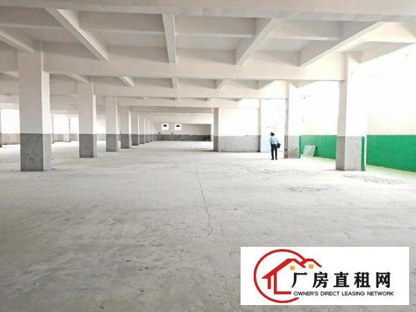  新出楼上厂房3000平