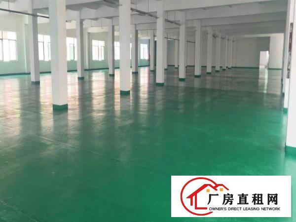  清溪新出厂房，外观形象好