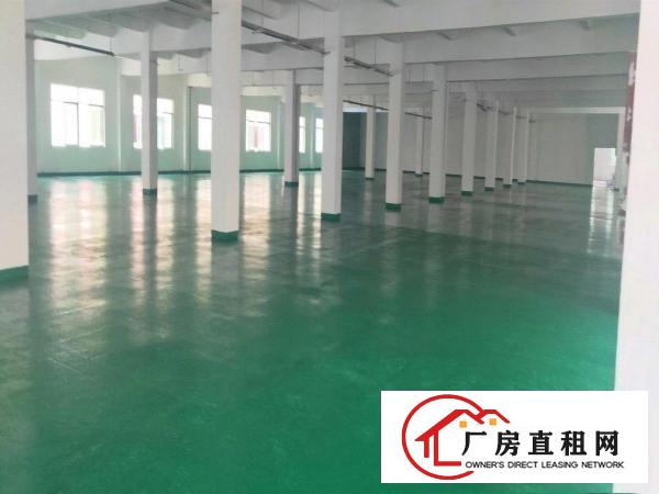  清溪新出厂房，外观形象好