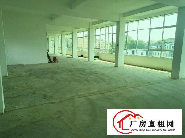  原房东厂房三楼550