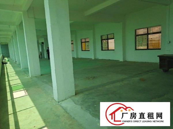  原房东厂房三楼550