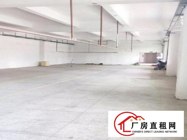  全新原房东厂房出租没有公摊