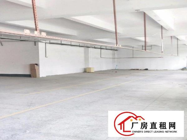  全新原房东厂房出租没有公摊