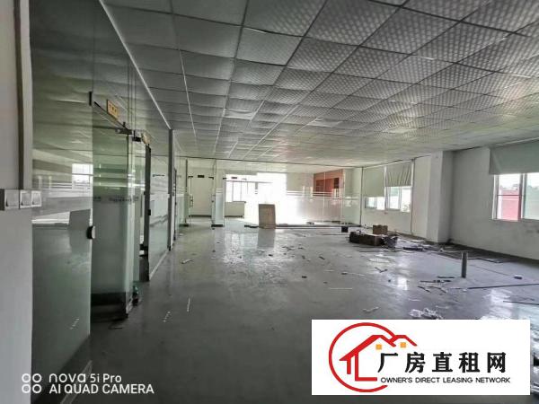  清溪三中新出楼上1600平