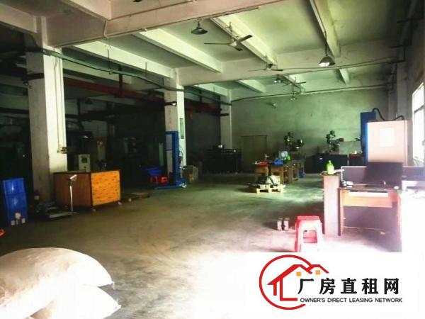  清溪浮岗工业园区标准一楼厂房带办公室分租800平