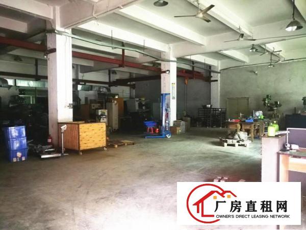  清溪浮岗工业园区标准一楼厂房带办公室分租800平