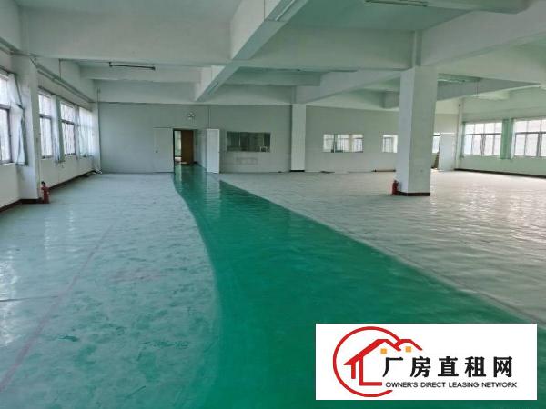  清溪三中新出楼上带装修厂房出租1098平方300平米起分租