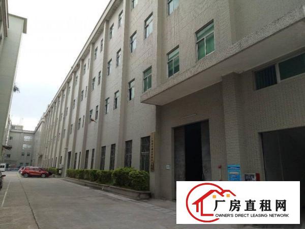  清溪主干道边，新出原房东一楼带现成办公室滴水6.5米