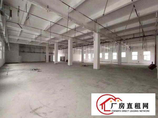  清溪主干道边，新出原房东一楼带现成办公室滴水6.5米