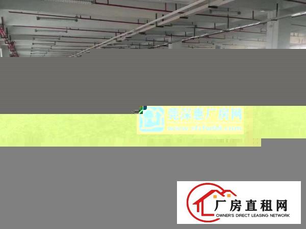  清溪三中原房东独院厂房11000平方带装修急租