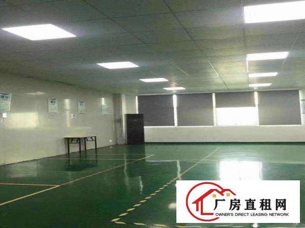  清溪新出楼上带豪华装修水电齐全办公室厂房480平出租