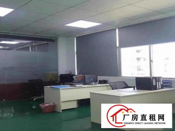  清溪新出楼上带豪华装修水电齐全办公室厂房480平出租