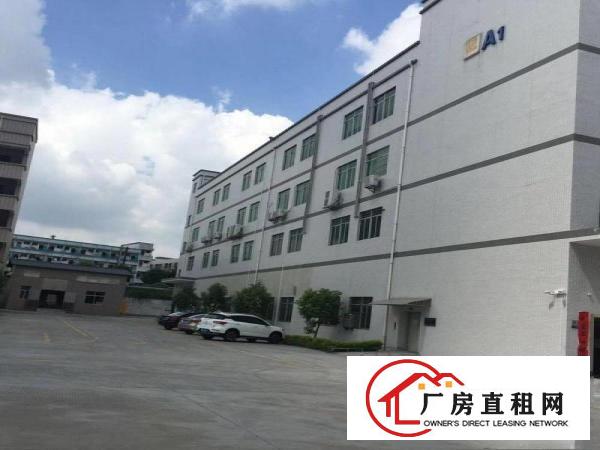  清溪新出楼上带豪华装修水电齐全办公室厂房480平出租
