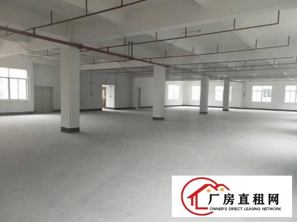  清溪九乡一楼厂房1200平分租600平带装修，有环评