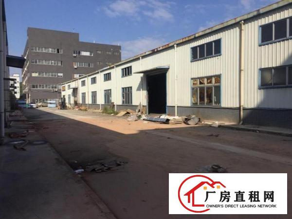  清溪三中原房东独院单一层滴水8米高钢构厂房1300平急租