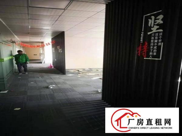  清溪近凤岗楼上（豪华装修）厂房出租1600平现成水电办公