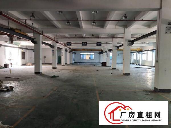  东莞清溪三中新出标准一楼2300平，带十吨行车厂房出租