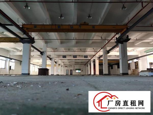  东莞清溪三中新出标准一楼2300平，带十吨行车厂房出租