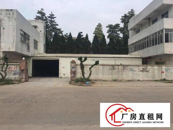 清溪原房东，独门独院2800平方招租