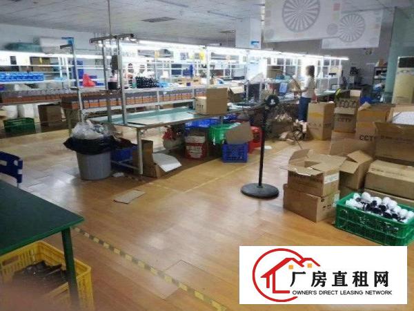  清溪（原房东）厂房出租4楼整层900平！面积实在！现成精装