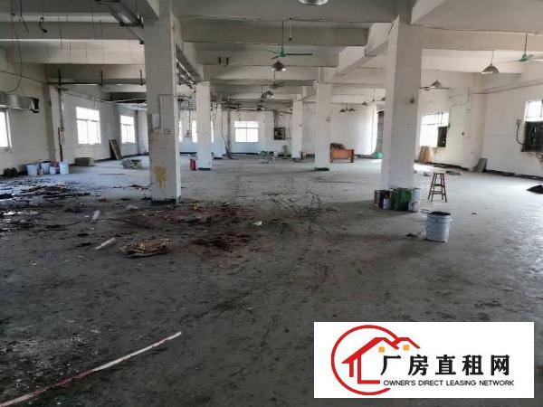  16块啦！清溪一楼100平方到1000平方，大小面积分租